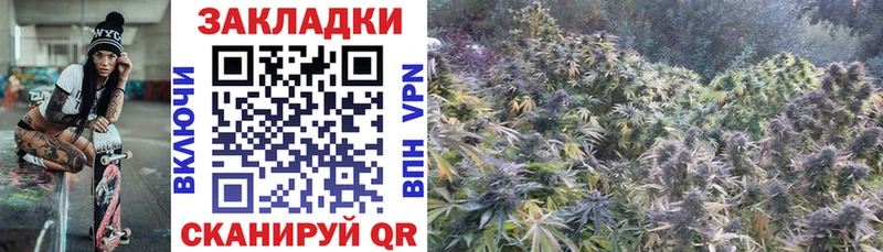 Где купить Шуя Гашиш КОКАИН APVP Меф