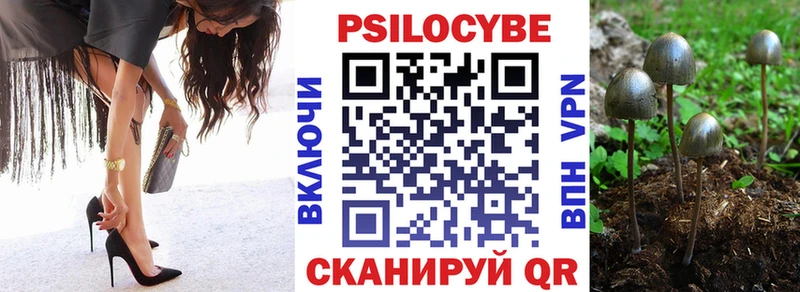 Галлюциногенные грибы Psilocybine cubensis  сколько стоит  Шуя 